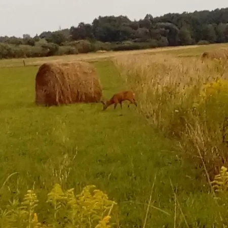 Rózsika Casa vacanze *